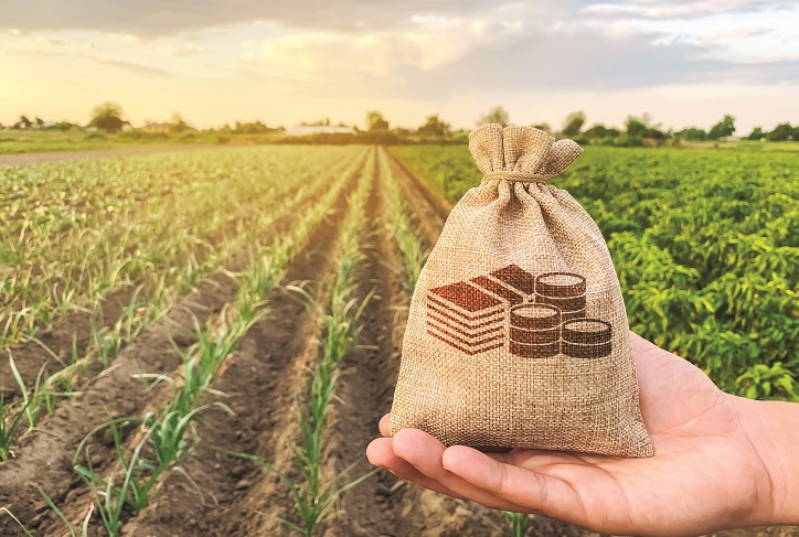 Marile suprafeţe agricole din România sunt lucrate de străini: arabii, libanezii, danezii, italienii şi nemţii au încasat cele mai mari de subvenţii în 2025. Doar doi antreprenori români sunt în top 10 beneficiari, Petru Corvin Mateiu şi Mihai Anghel