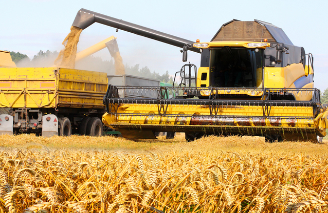 Tarfin, IFN turcesc, integrează businessul agricol și majorează capitalul